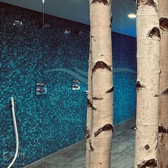 Aufgussuhr aus Holz an Birkenstämmen