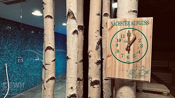 Aufgussuhr aus Holz an Birkenstämmen