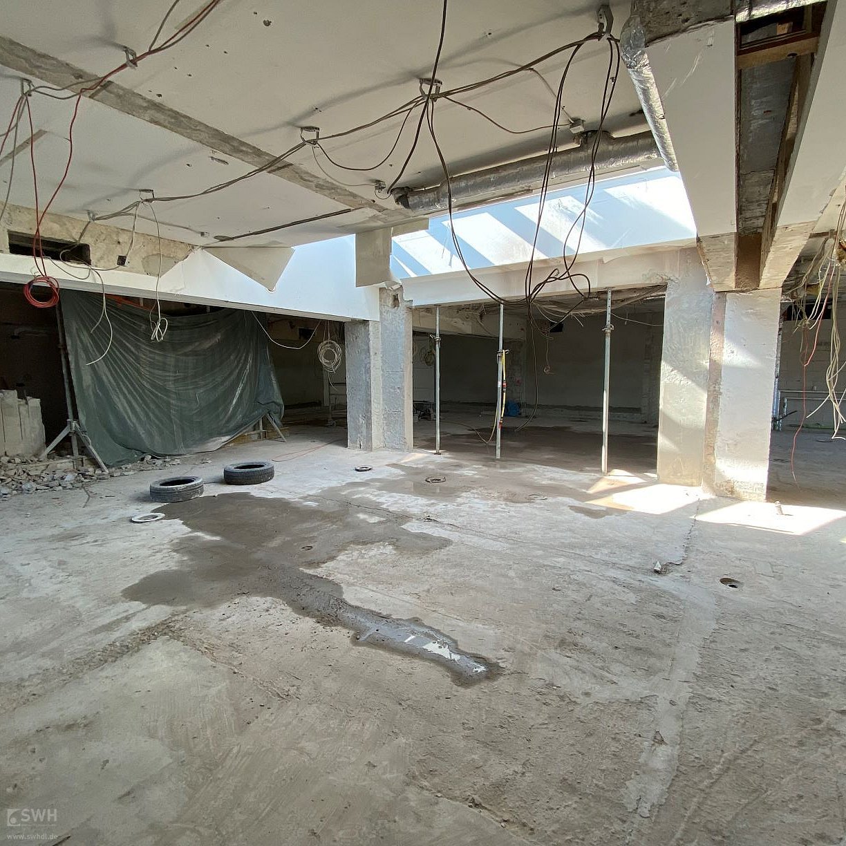 Bild
