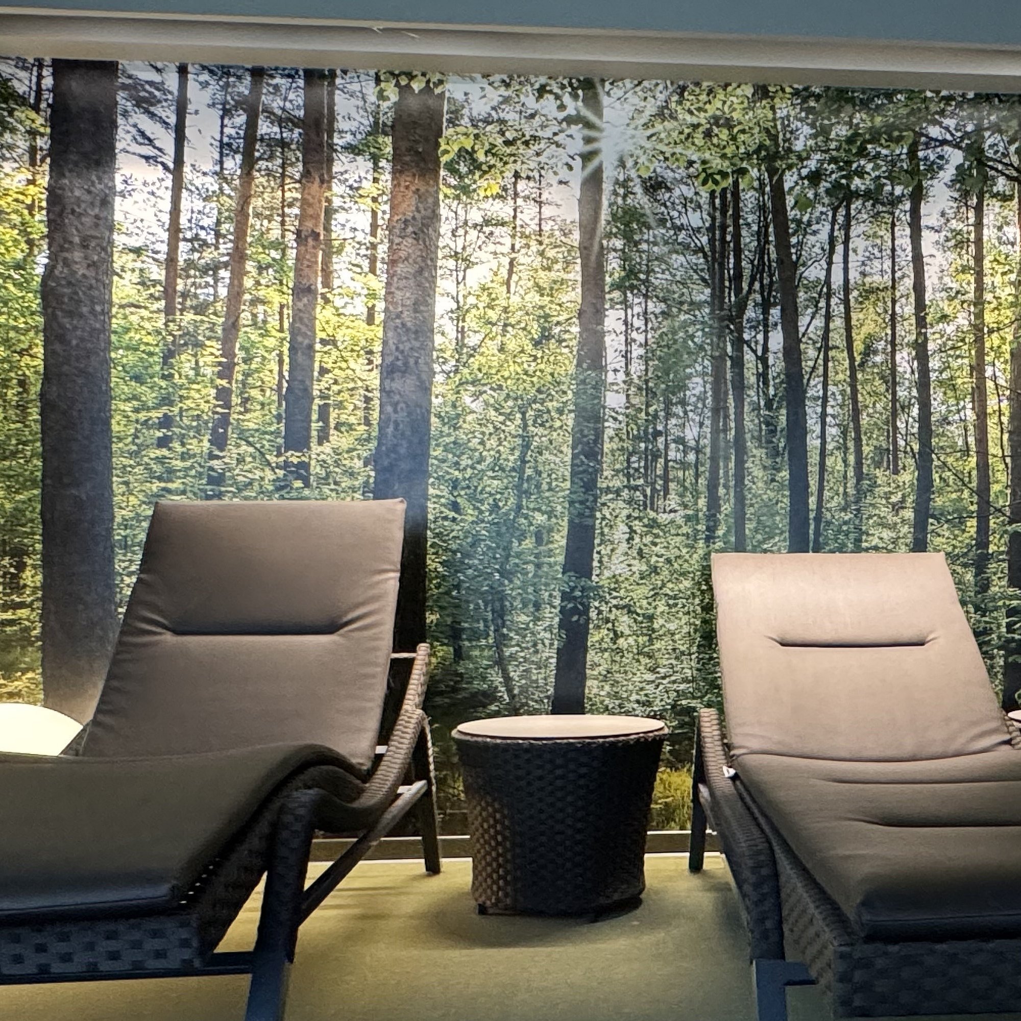 Ruheraum mit Liegen und ein Waldplakat im Hintergrund